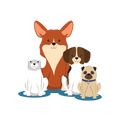 Dog Stickers